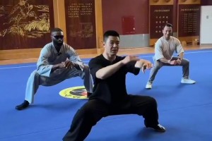 奥胖和合伙人拥有50多家公司！背后是强者之间的资源借力游戏！